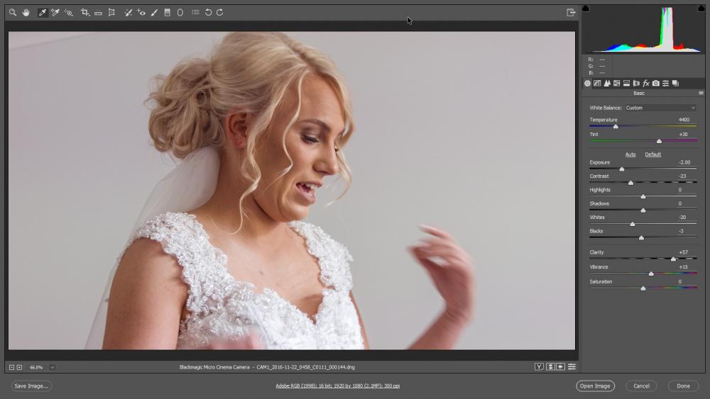 Camera Raw 9.7  -  Blackmagic Micro Cinema Camera.jpg