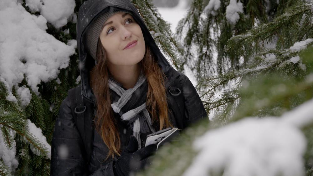 Untitled Project 1.jpg