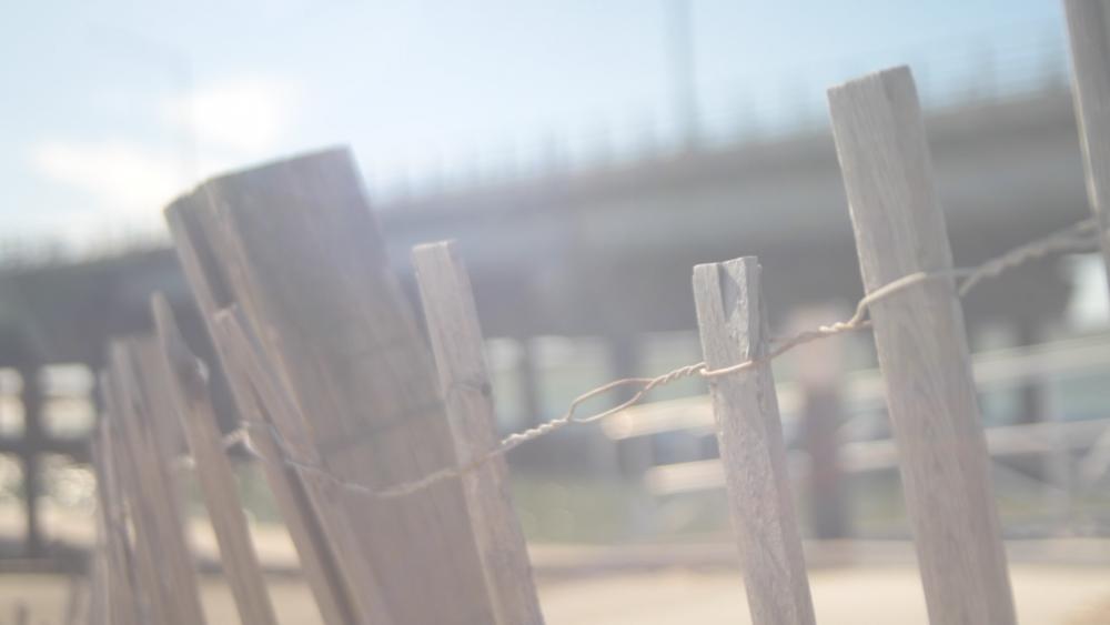 D5500 - Cape May - Wood Fence - Ungraded.jpg