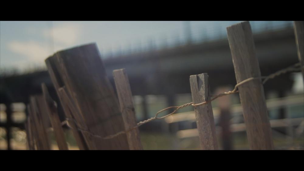 D5500 - Cape May - Wood Fence.jpg