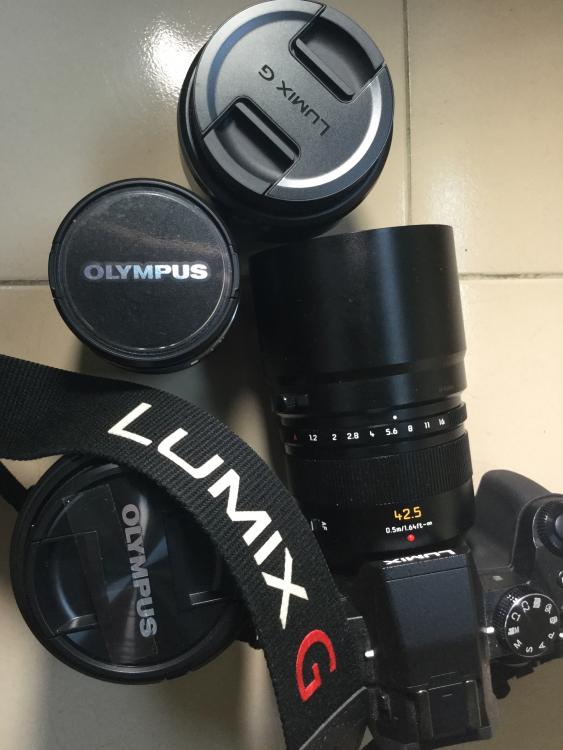 Panasonic 12-60 vs Olympus 12-40 on GH5? - Cameras - EOSHD Forum