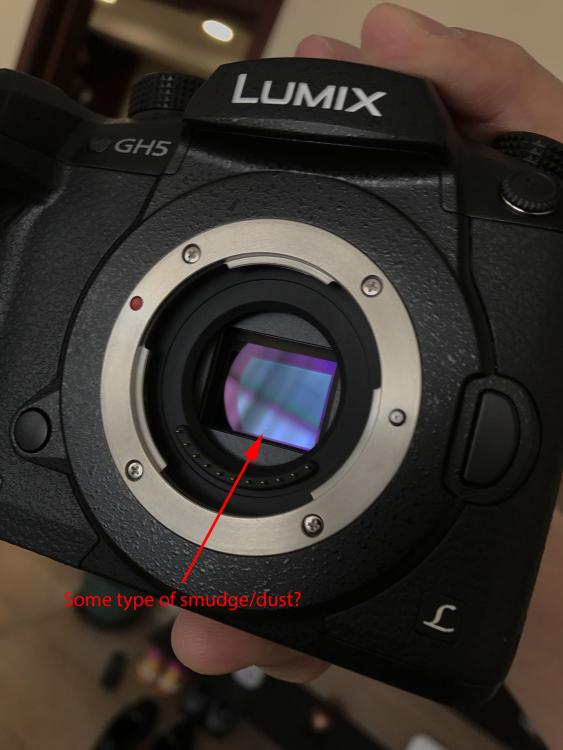 gh5_sensor.jpg