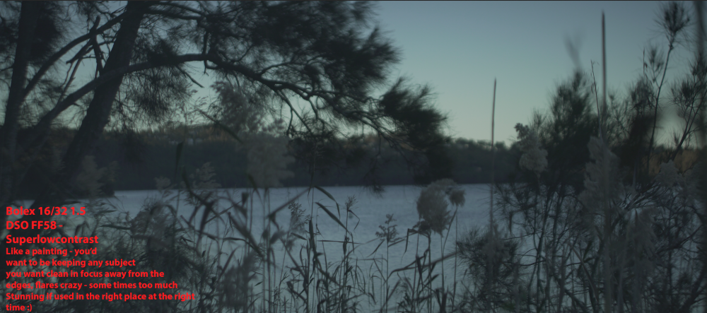 Screen Shot 2017-07-29 at 9.56.58 am.png