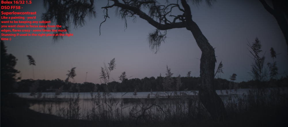 Screen Shot 2017-07-29 at 9.58.04 am.png