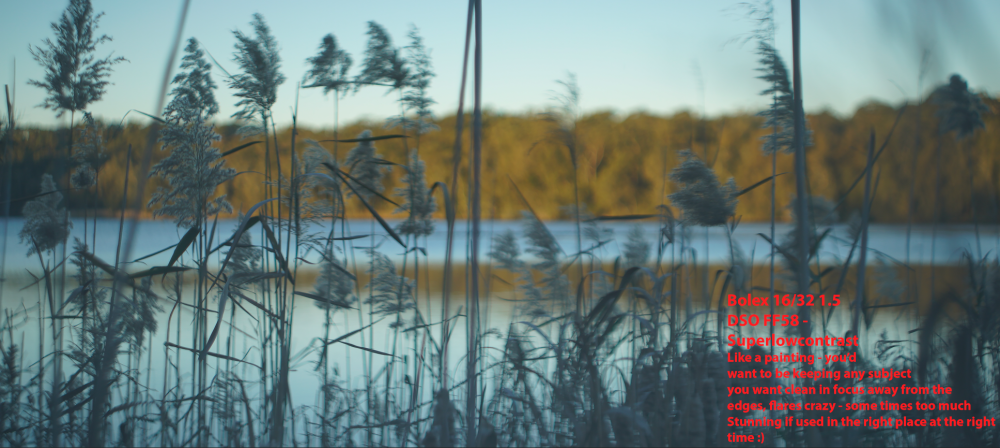 Screen Shot 2017-07-29 at 9.59.33 am.png