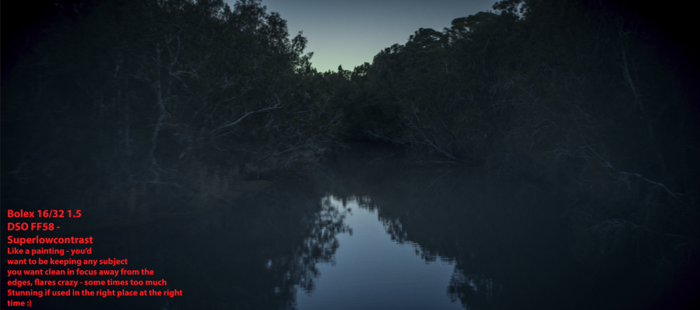 Screen Shot 2017-07-29 at 9.59.42 am.png