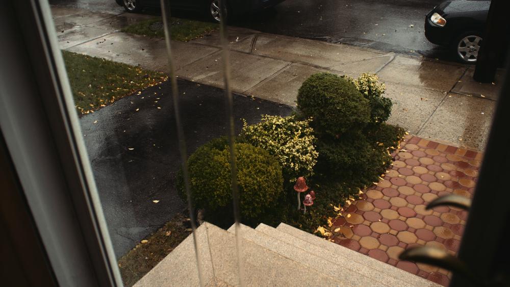 5 stops overexposed pull processed.jpg