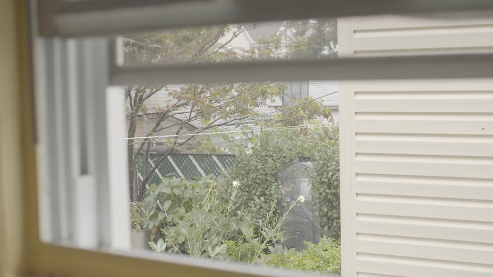 backyard 800 iso ungraded.jpg