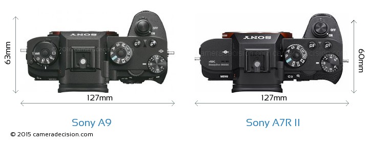 Sony-Alpha-A9-vs-Sony-Alpha-7R-II-top-view-size-comparison.jpg.c460485b3a03d1047623e1b2e2a880a0.jpg