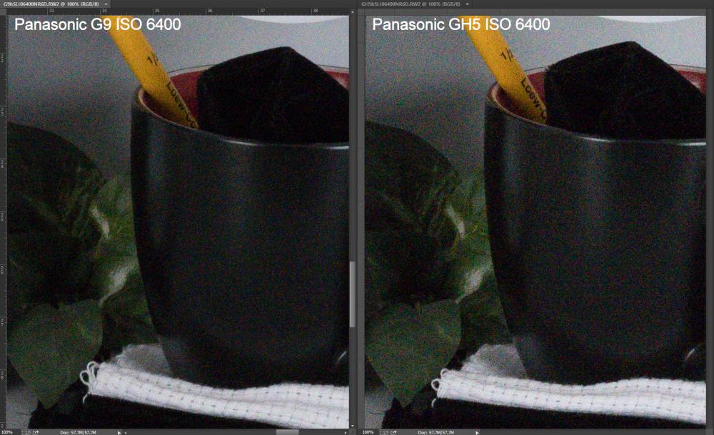 G9 vs GH5 ISO 6400 RAW.jpg