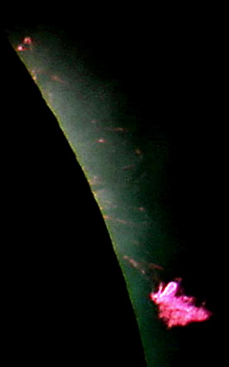 C-DetachedProm - Web.jpg