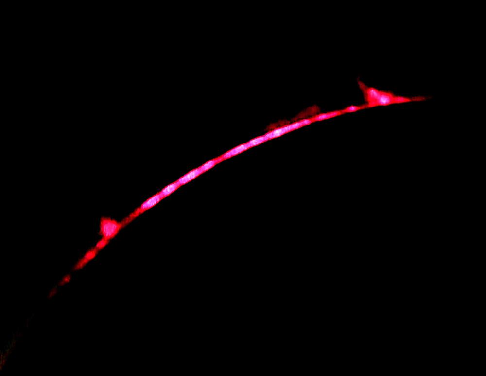 B-2nd Contact - Web.jpg