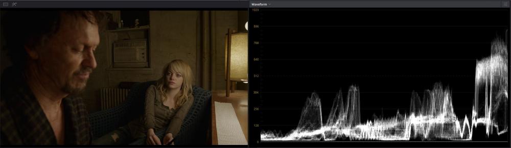 Birdman Waveform.JPG