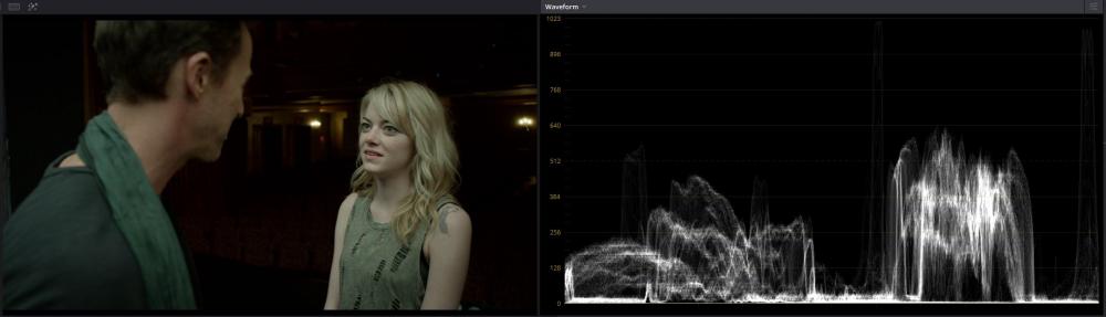 Birdman Waveform 2.JPG