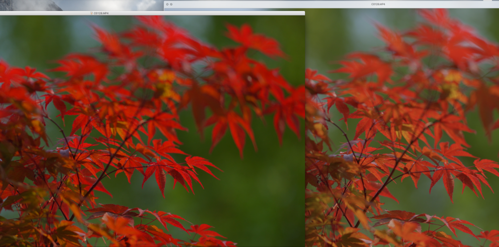 HLG 709 VLC vs QT.png