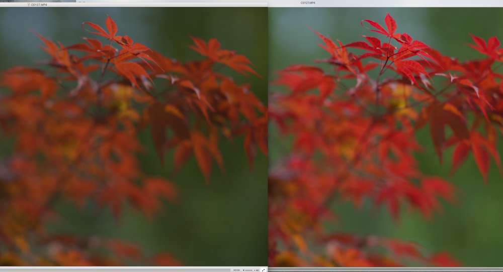 HLG 2020 VLC vs QT.png