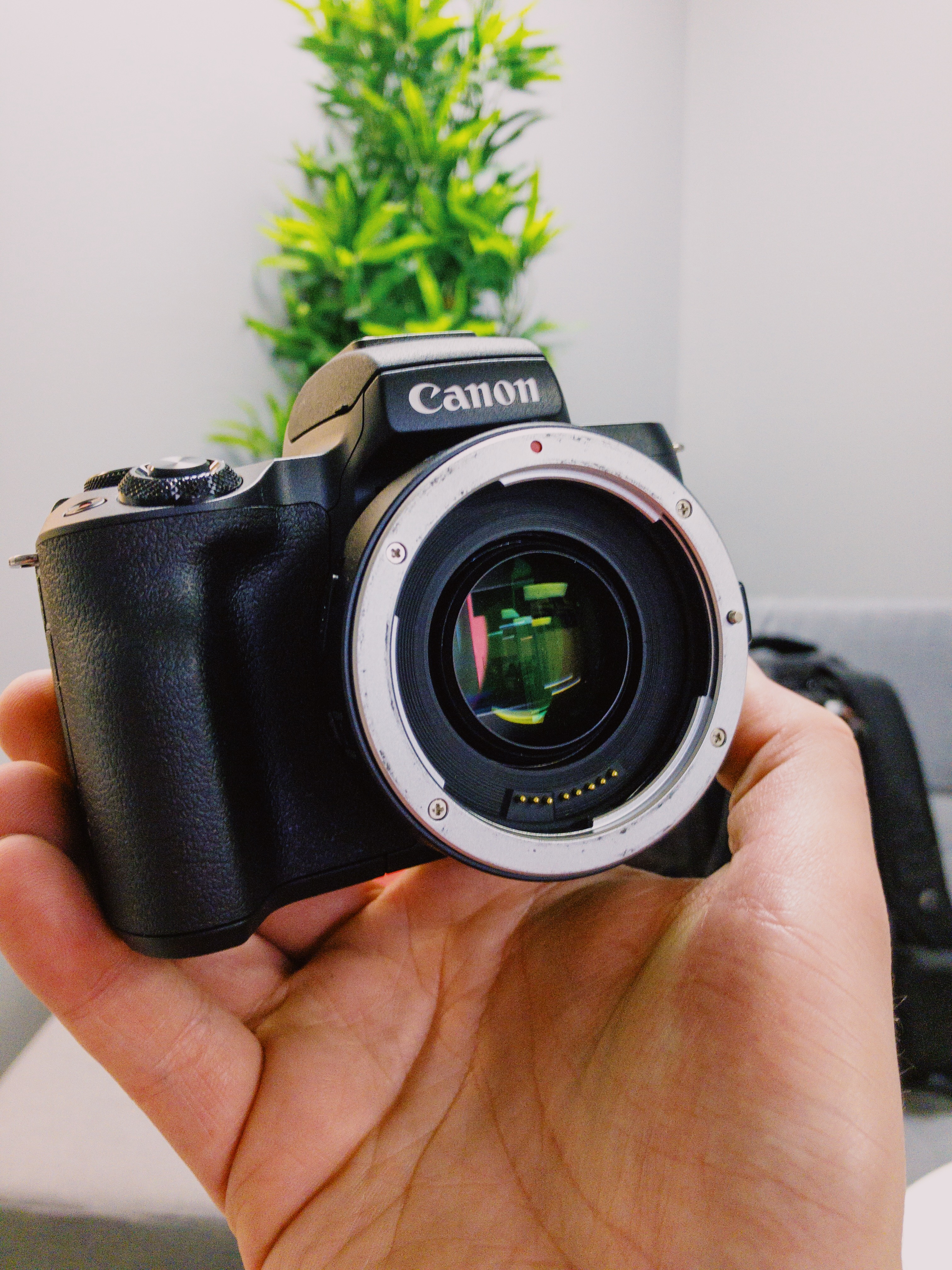 maksimere springvand trimme Canon M50 mirrorless camera features 4K video - Page 21 - Cameras - EOSHD  Forum