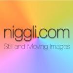 niggli.com