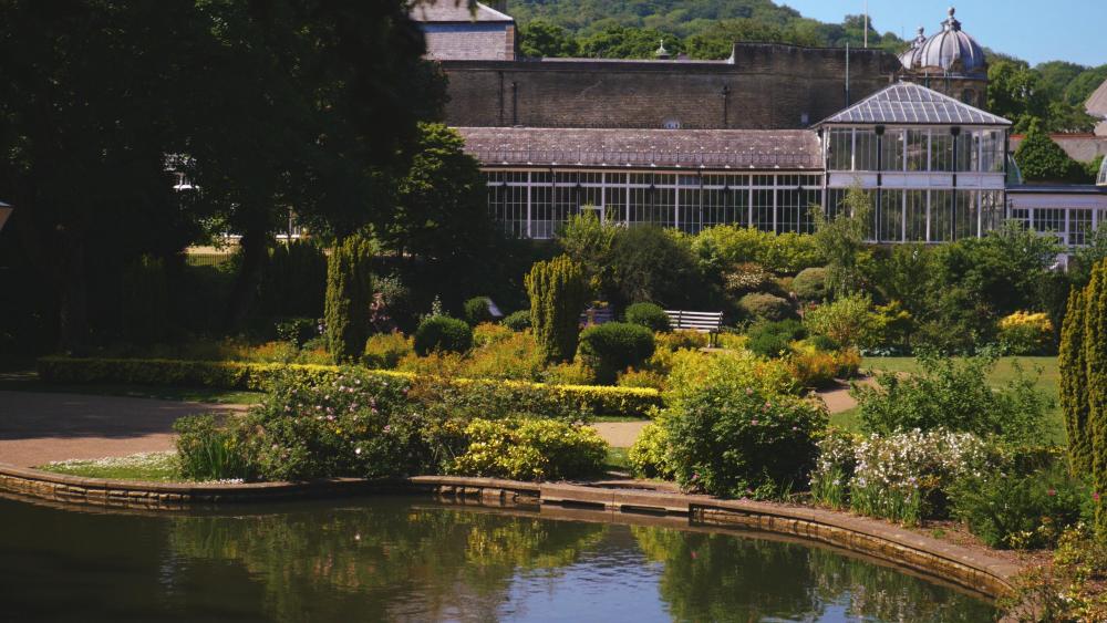 GX9 G9 Pro Color On.jpg