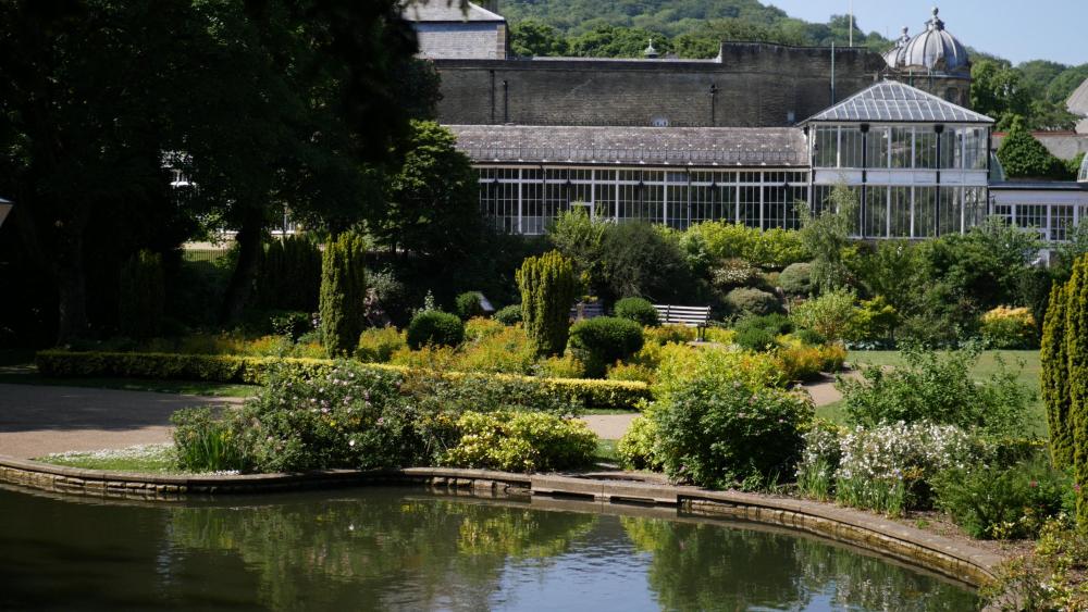 GX9 G9 Pro Color Off.jpg