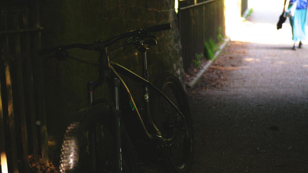 GX9 Pro Color CineLike V.jpg