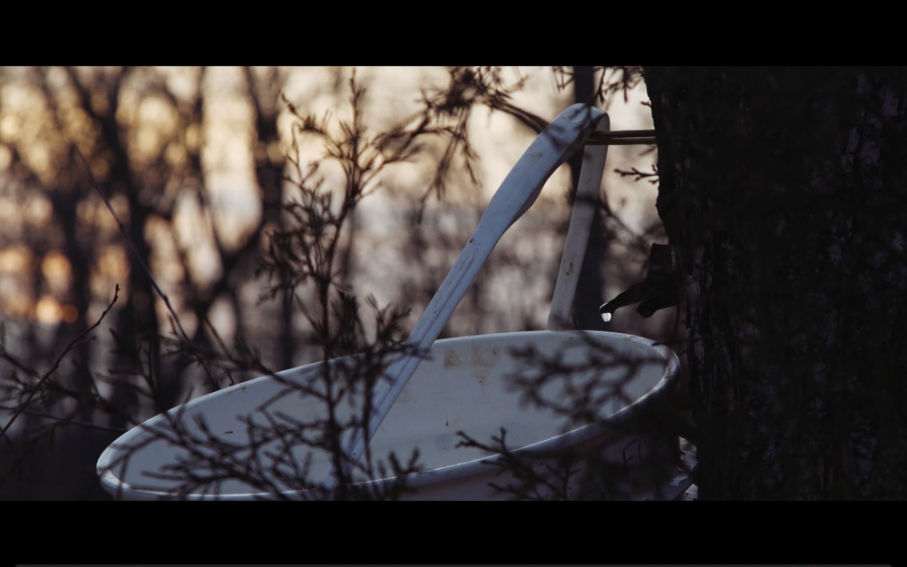 Screen Shot 2018-07-31 at 7.49.14 AM.png