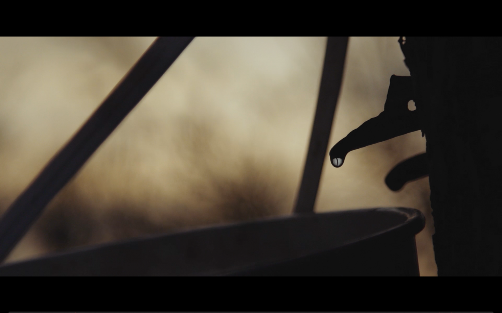 Screen Shot 2018-07-31 at 7.49.30 AM.png