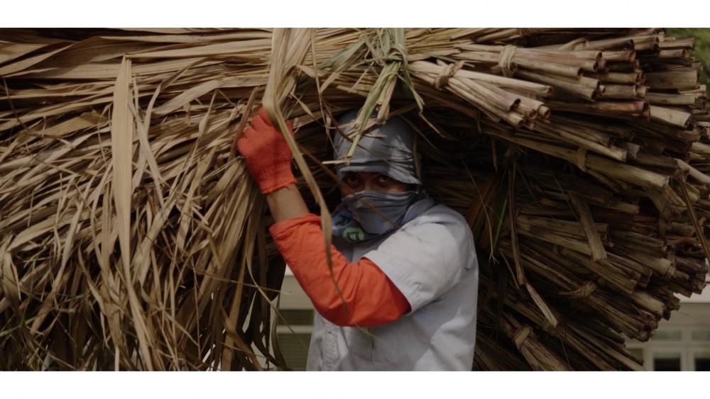 Roofing Man Carrying.jpg