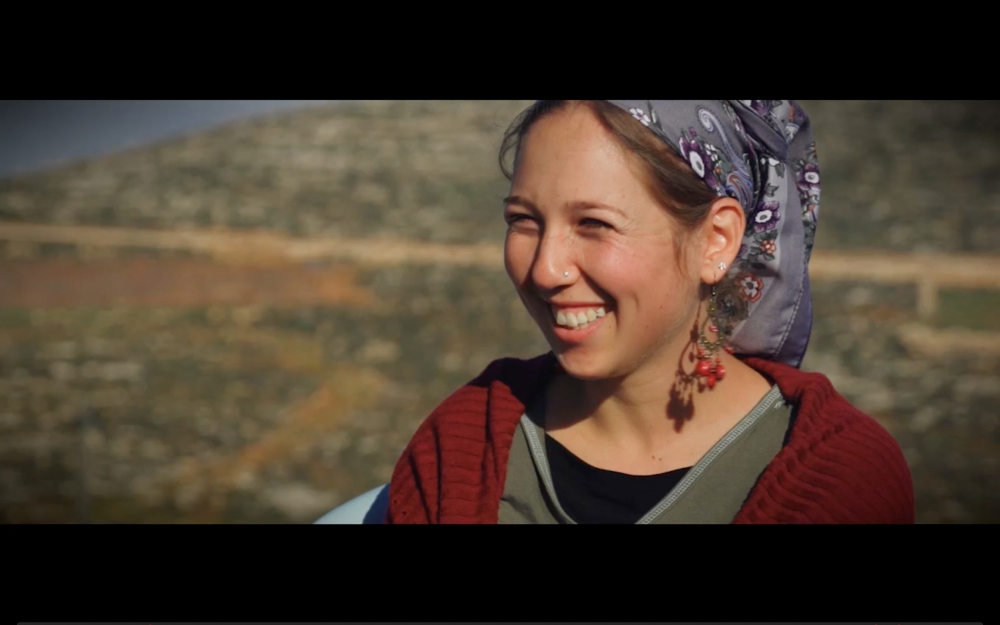 Screen Shot 2018-07-31 at 7.56.58 AM.png