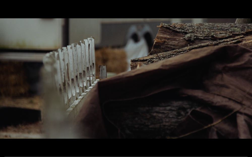 Screen Shot 2018-07-31 at 7.48.55 AM.png