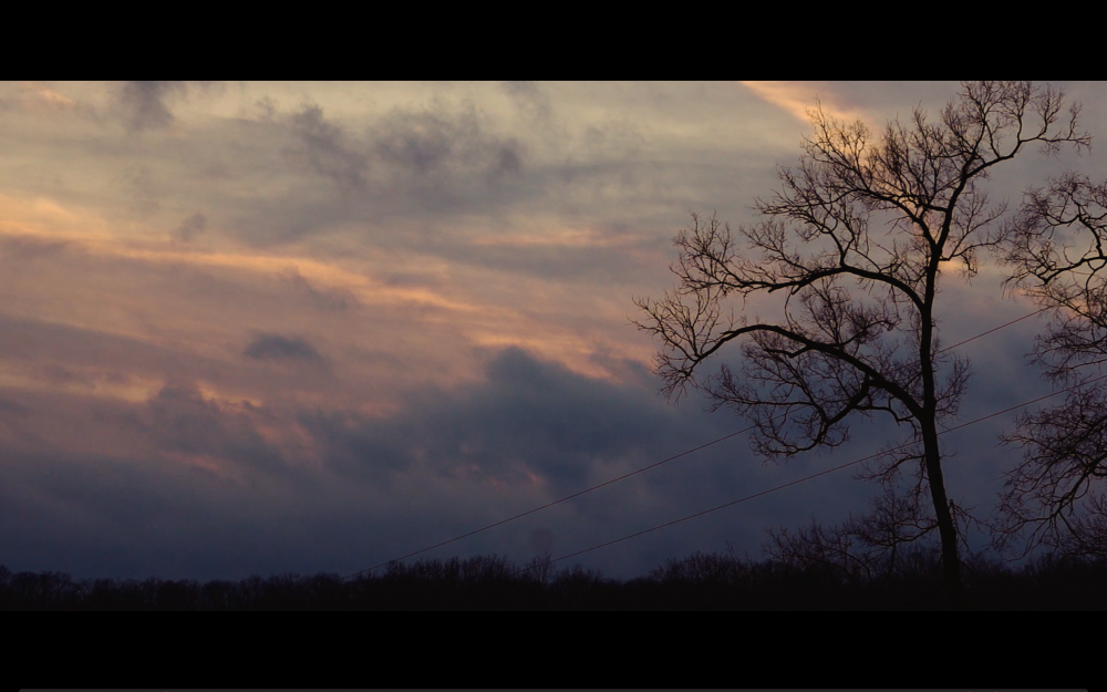 Screen Shot 2018-07-31 at 7.50.29 AM.png