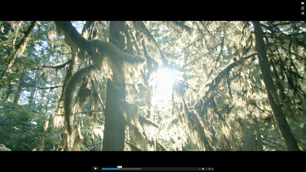 Screen Shot 2018-08-28 at 12.01.40 PM.png