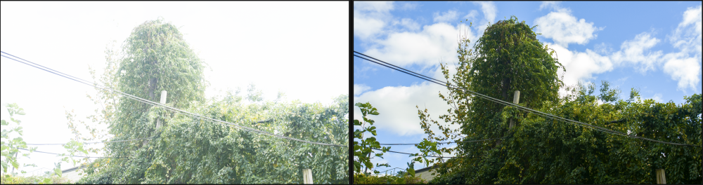 Screen Shot 2018-10-29 at 10.43.44 AM.png