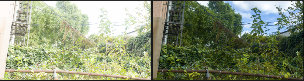 Screen Shot 2018-10-29 at 10.46.02 AM.png