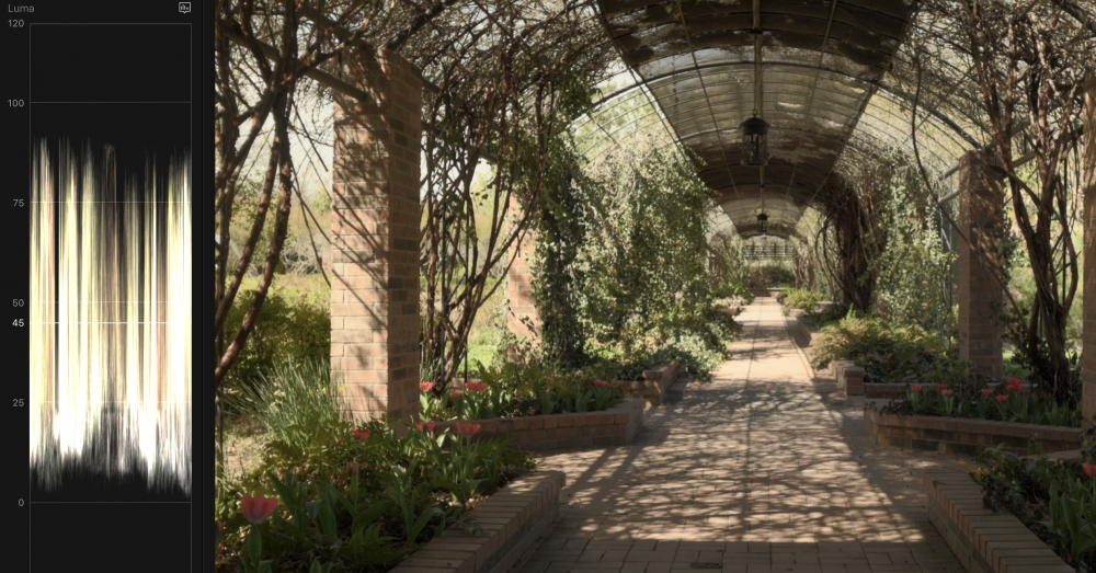 Screen Shot 2019-03-28 at 10.58.50 PM.png