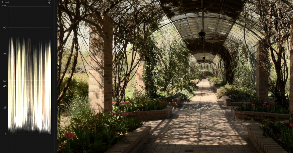 Screen Shot 2019-03-28 at 10.58.41 PM.png