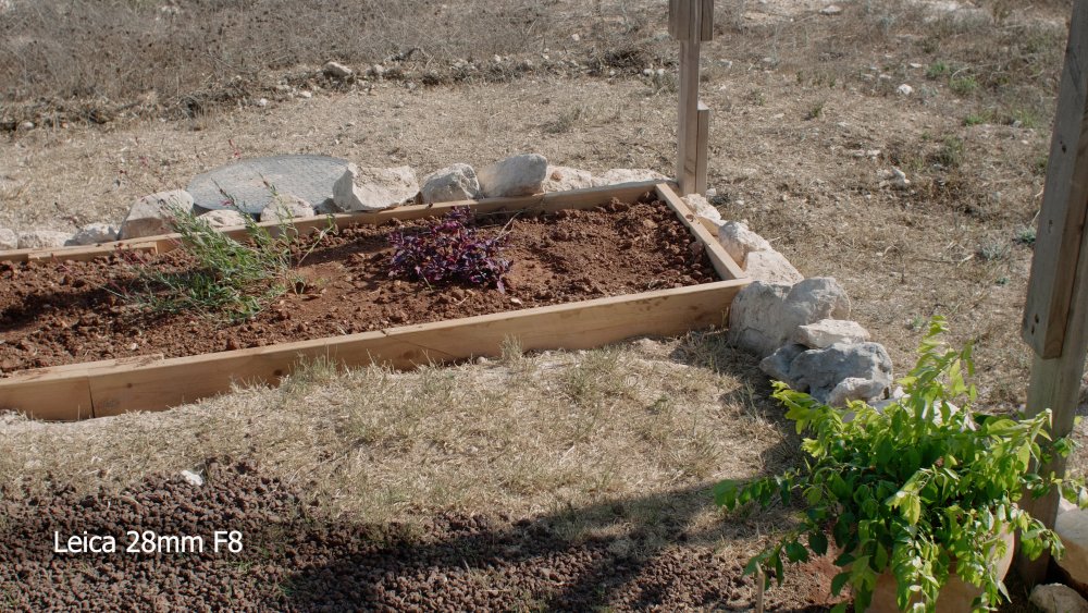 8 Leica 28mm F8.jpg