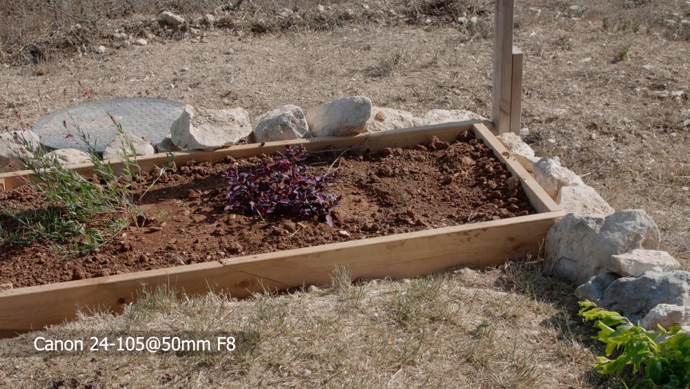 10 Canon 24mm-105@50mm F8.jpg