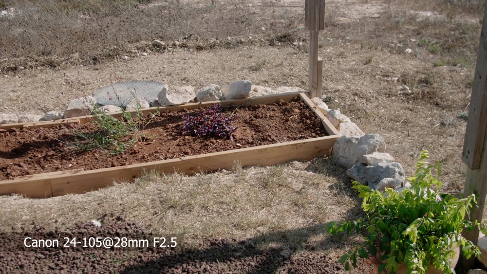 5 Canon 24-105@28mm F2.5.jpg