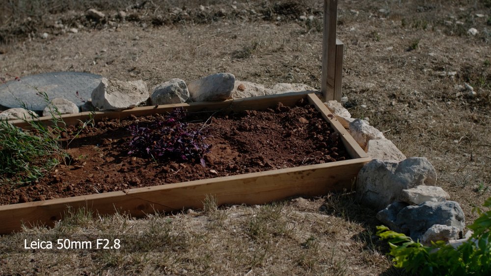 11 Leica 50mm F2.8.jpg