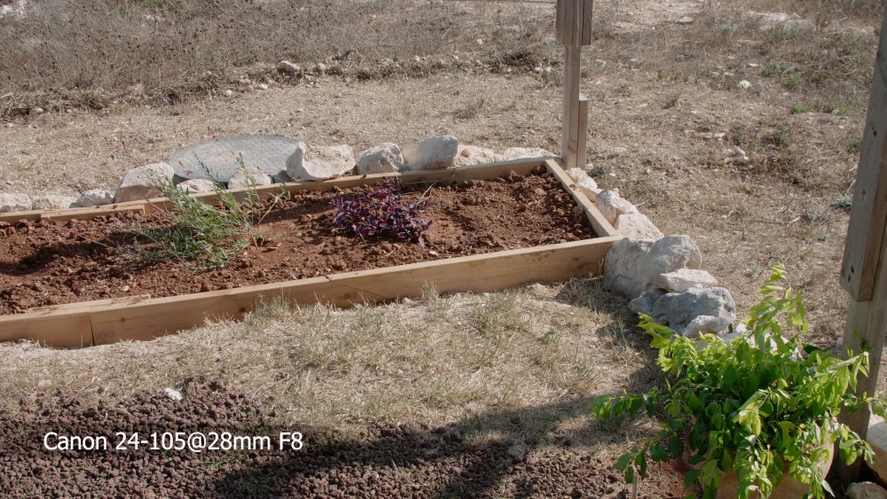 6 Canon 24-105@28mm F8.jpg