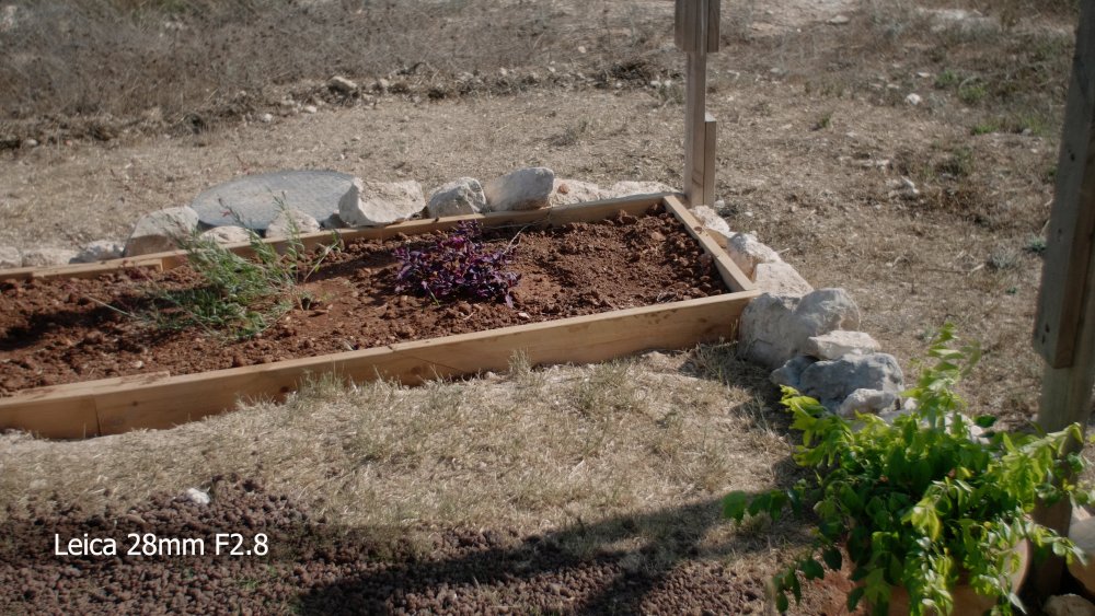 7 Leica 28mm F2.8.jpg