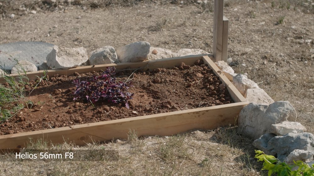 Helios 56mm F8.jpg