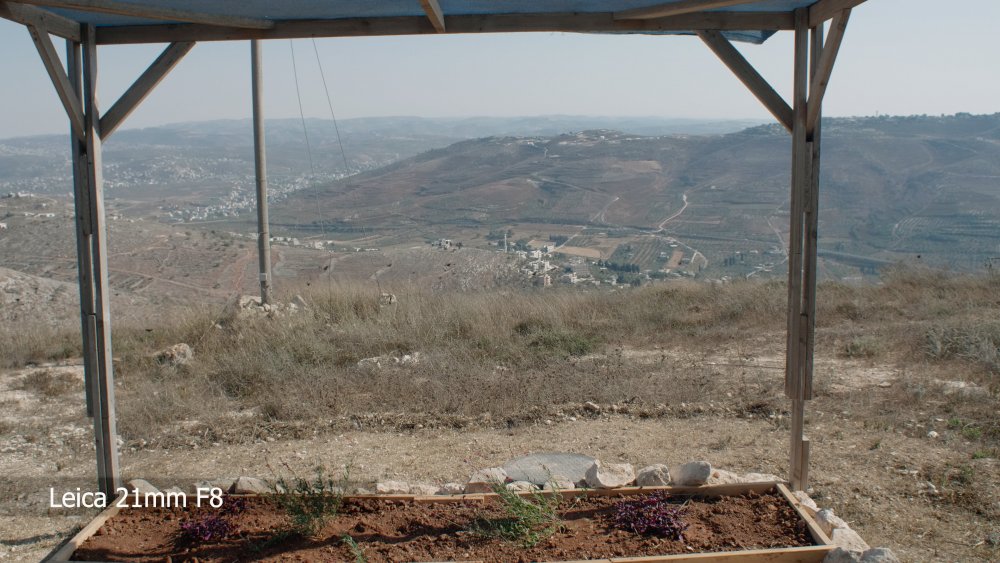 4 Leica 21mm F8.jpg