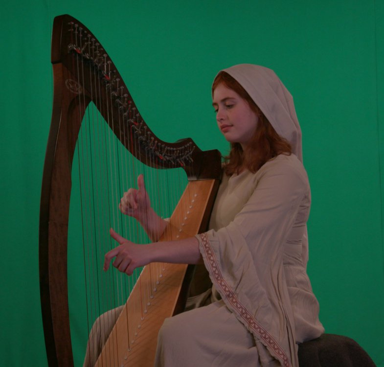 Direct from C300 mk ii flat image.jpg