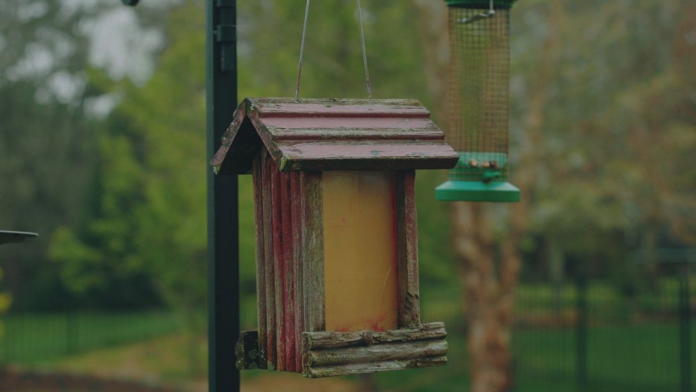 gradedbirdhouse_3.1.3.jpg