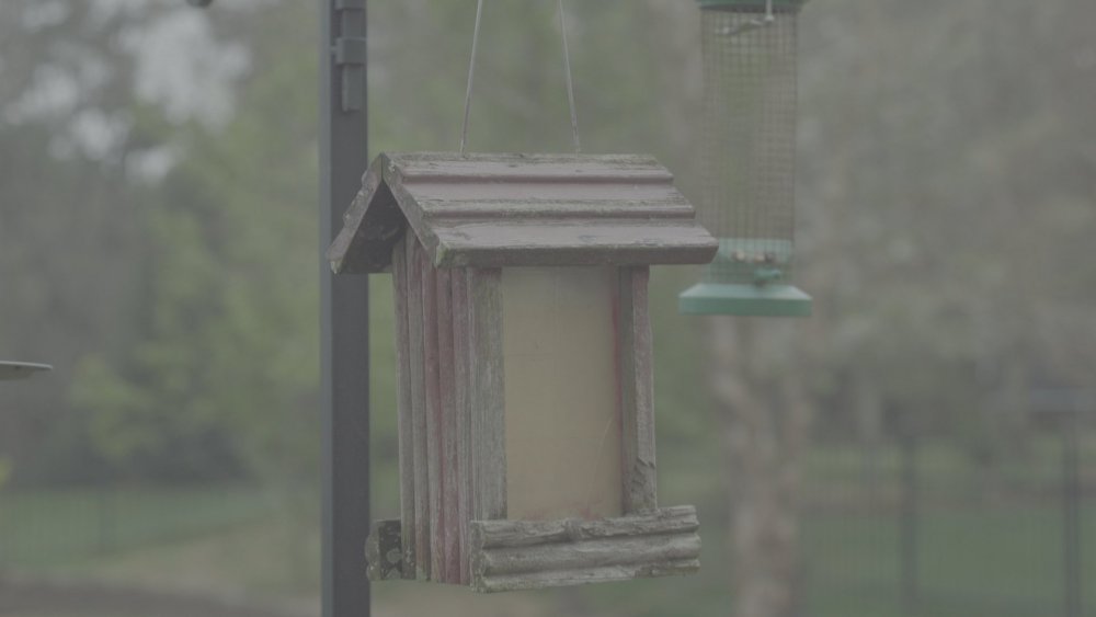 ungradedbirdhouse_3.1.1.jpg