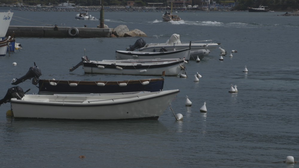 boats_1.1.1.thumb.png.32233c5a8c58937a3b06d425674cd0b1.png