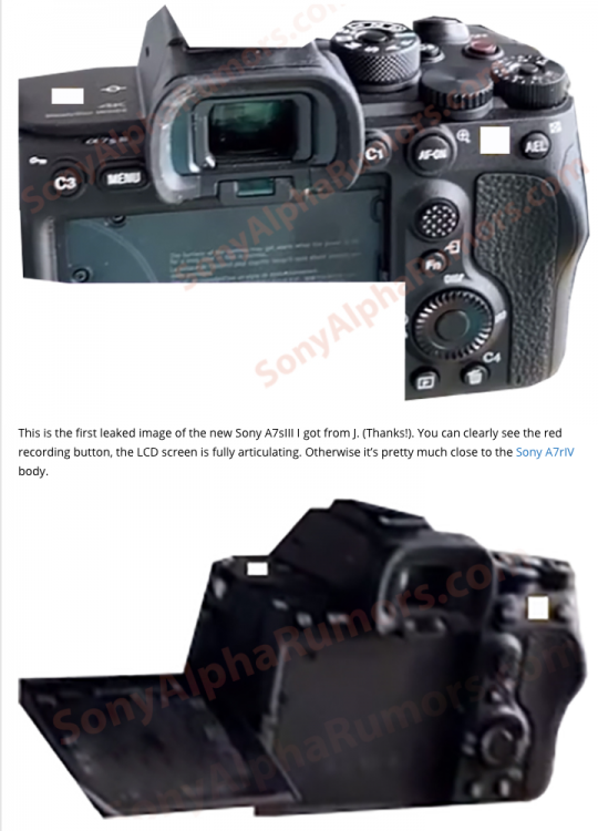 Screen Shot 2020-07-24 at 7.41.45 AM.png