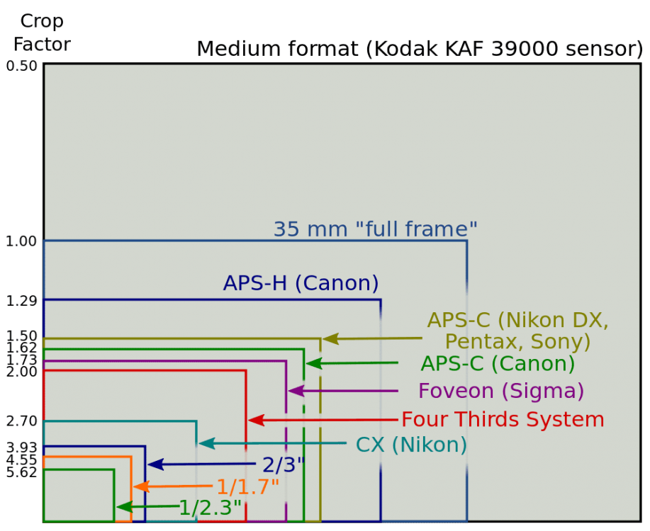 Sensor-Sizes-and-Crop-Factors.png